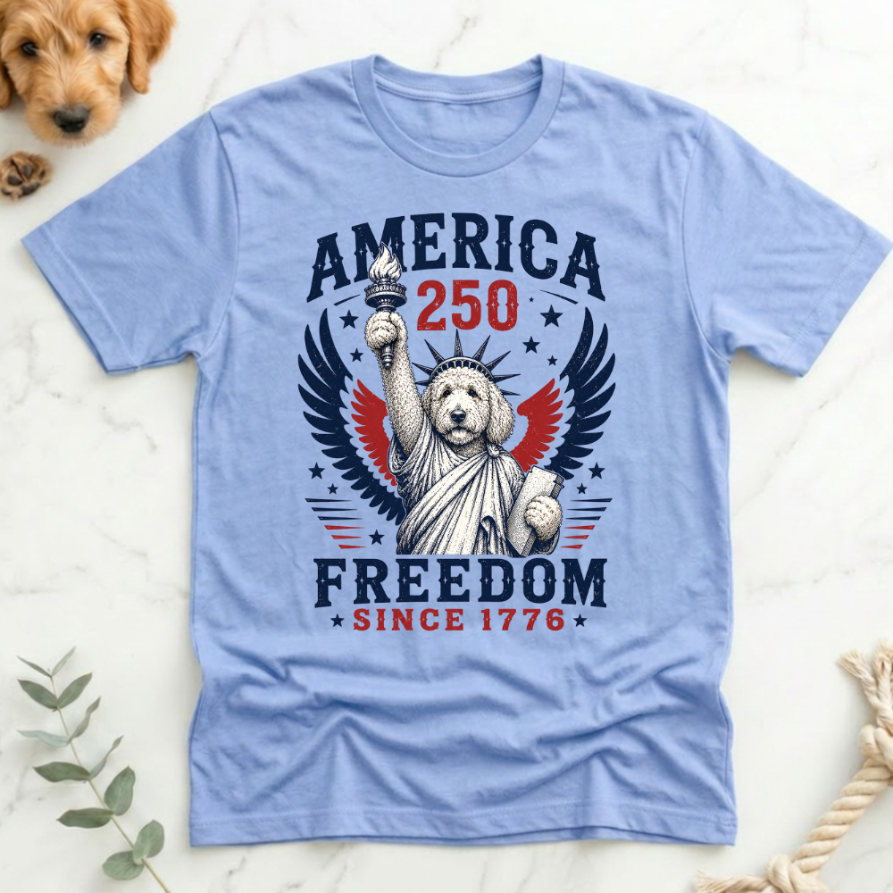 Doodle Statue America 250 T-Shirt