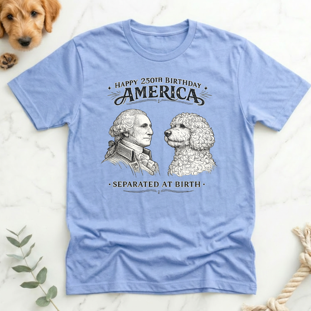 America 250 Separated at Birth T-Shirt