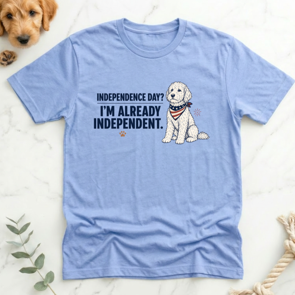 Indepence Day I'm Already Independent T-Shirt