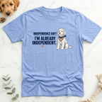 Indepence Day I'm Already Independent T-Shirt