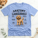 Anatomy of a Labradoodle T-Shirt