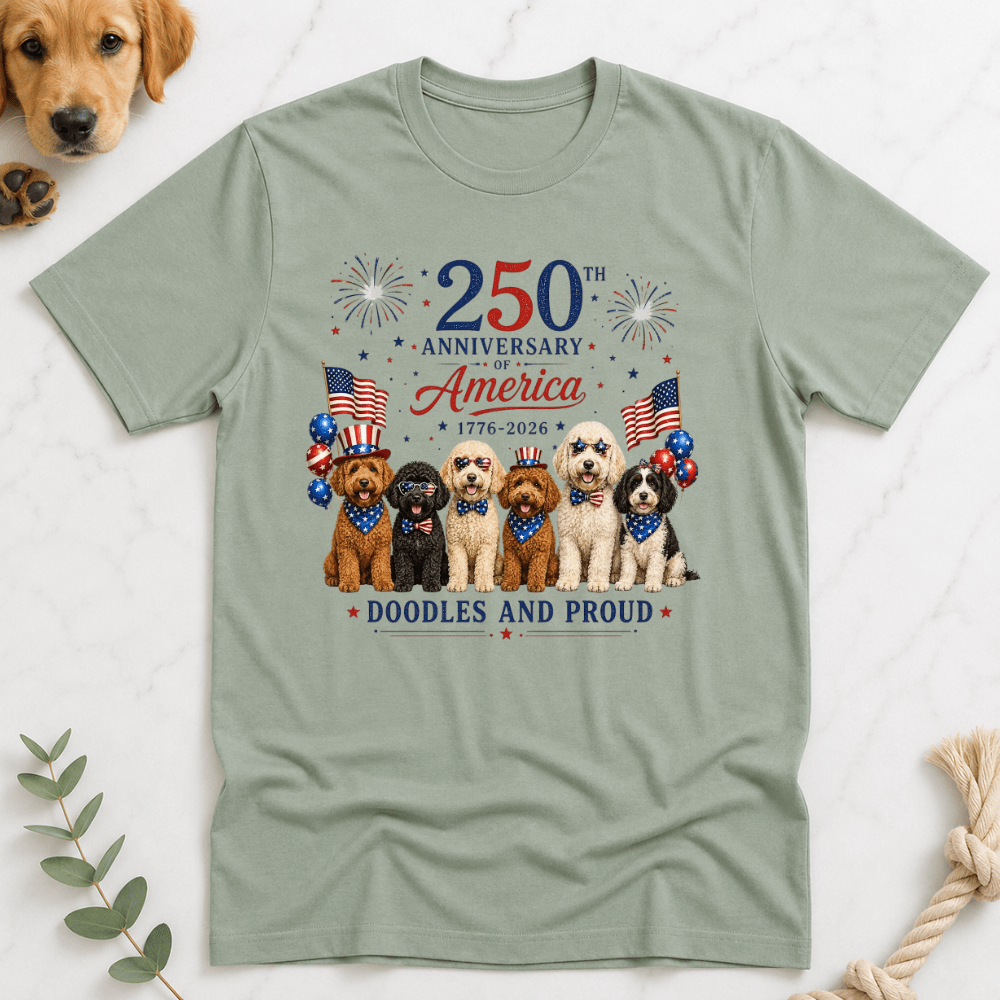 America 250 Doodles and Proud T-Shirt - Doodle Brothers Co