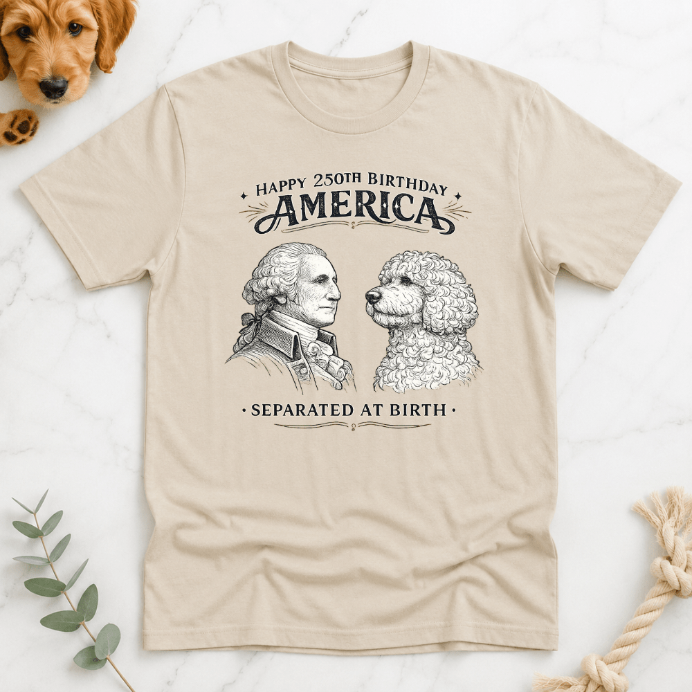 America 250 Separated at Birth T-Shirt - Doodle Brothers Co