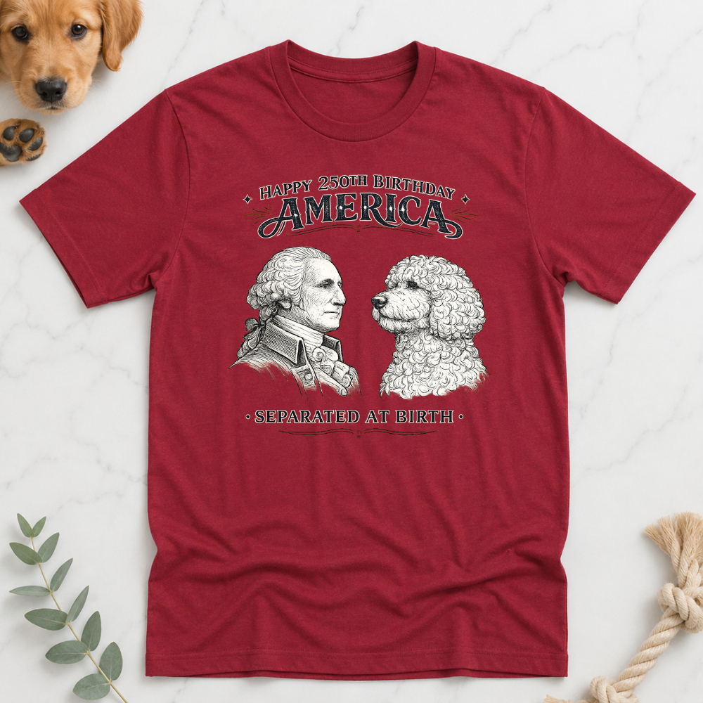 America 250 Separated at Birth T-Shirt