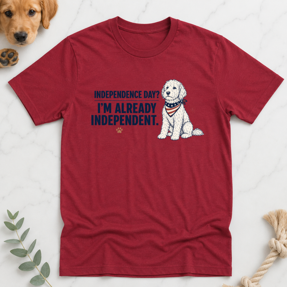 Indepence Day I'm Already Independent T-Shirt