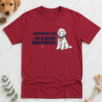 Indepence Day I'm Already Independent T-Shirt