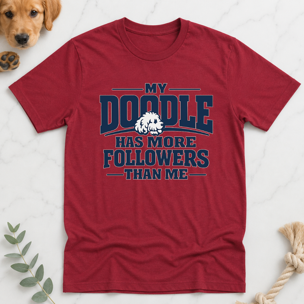 My Doodle has More Followers