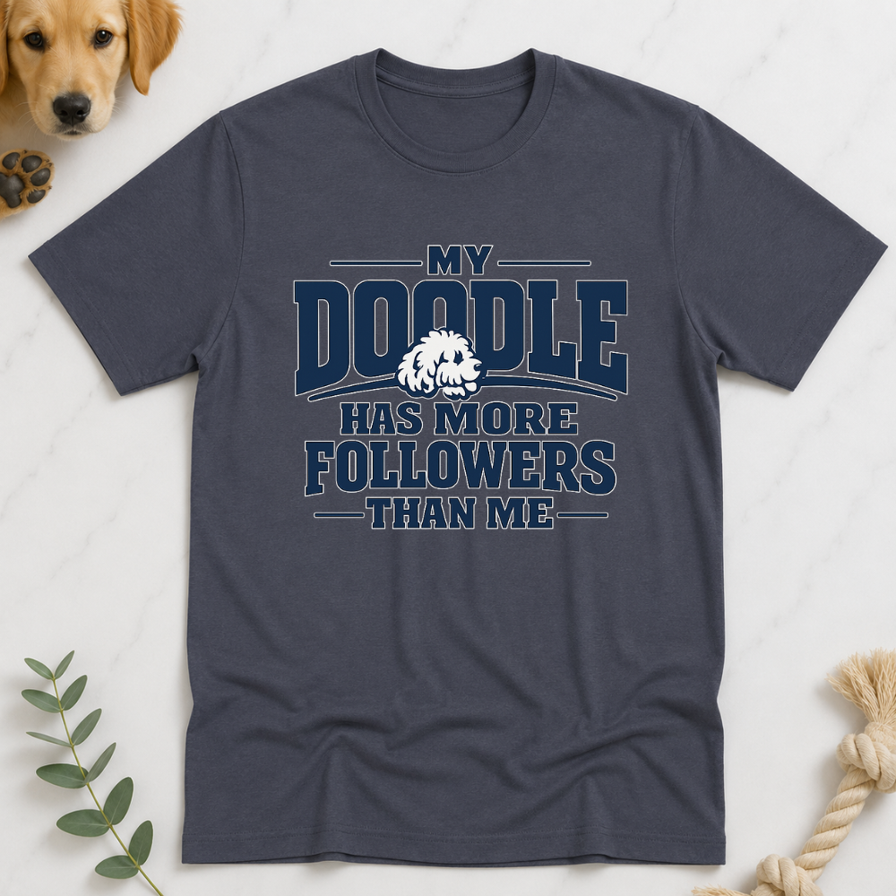 My Doodle has More Followers