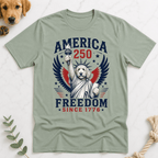 Doodle Statue America 250 T-Shirt - Doodle Brothers Co