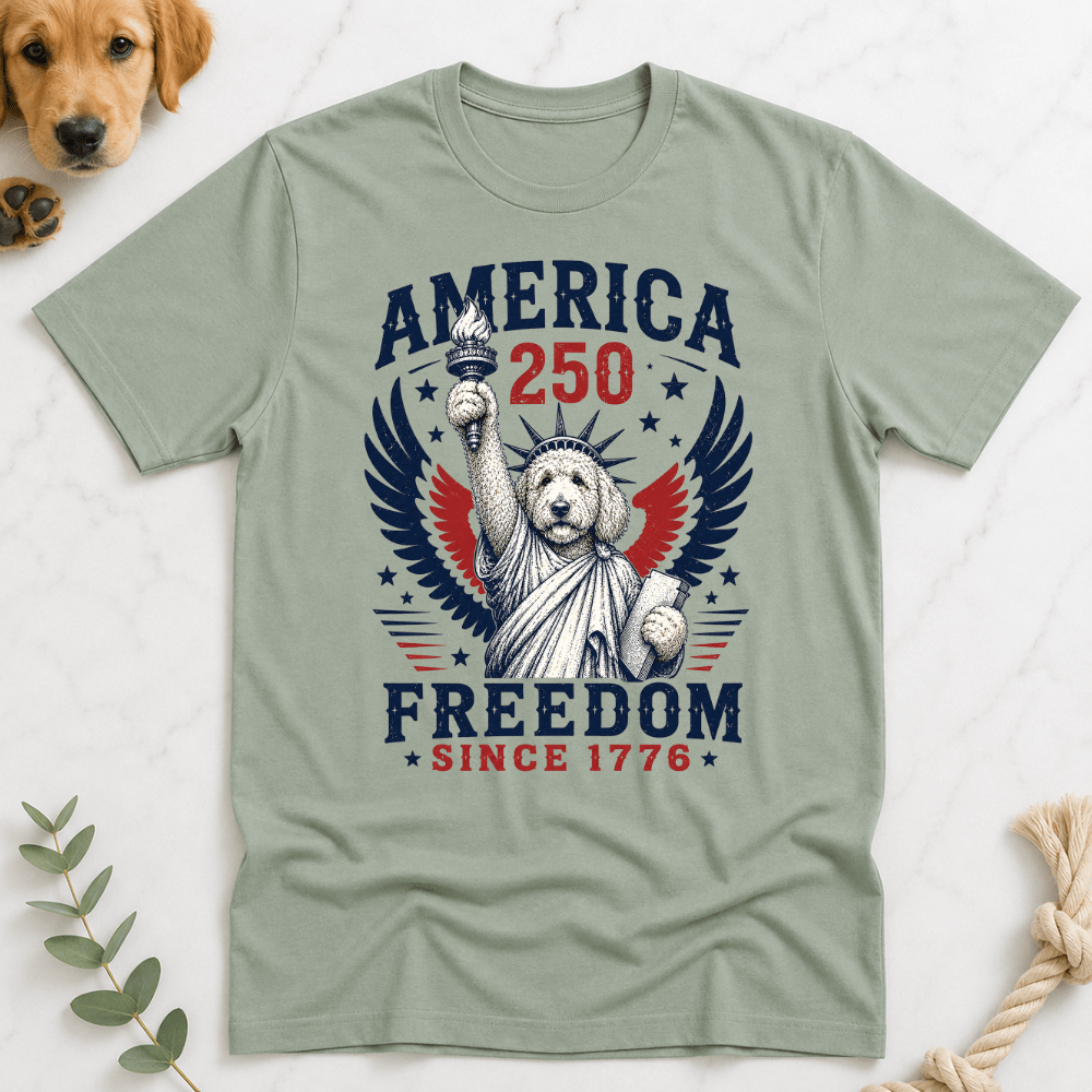 Doodle Statue America 250 T-Shirt - Doodle Brothers Co