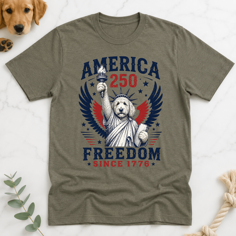 Doodle Statue America 250 T-Shirt - Doodle Brothers Co