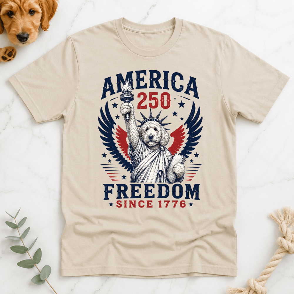 Doodle Statue America 250 T-Shirt - Doodle Brothers Co