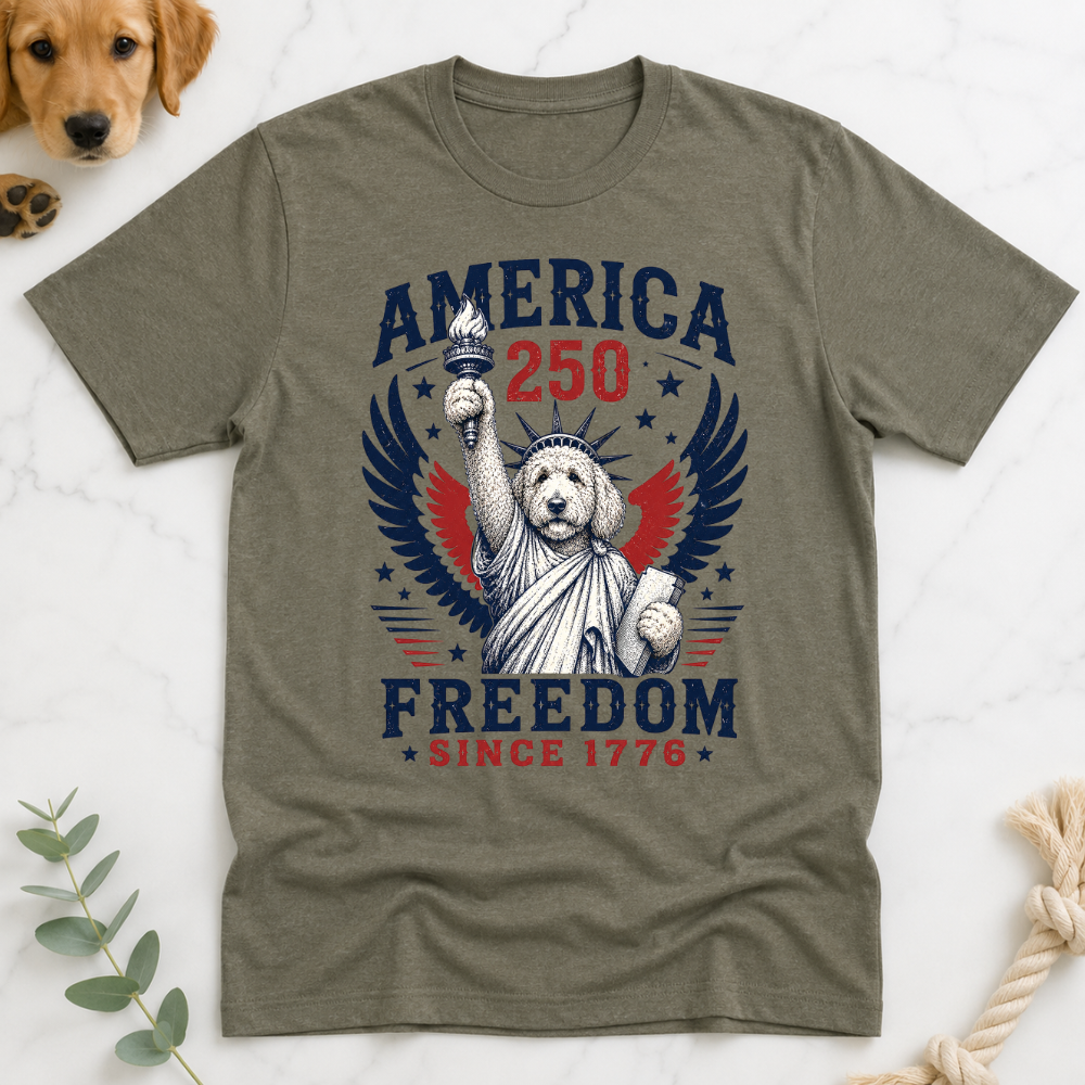 Doodle Statue America 250 T-Shirt