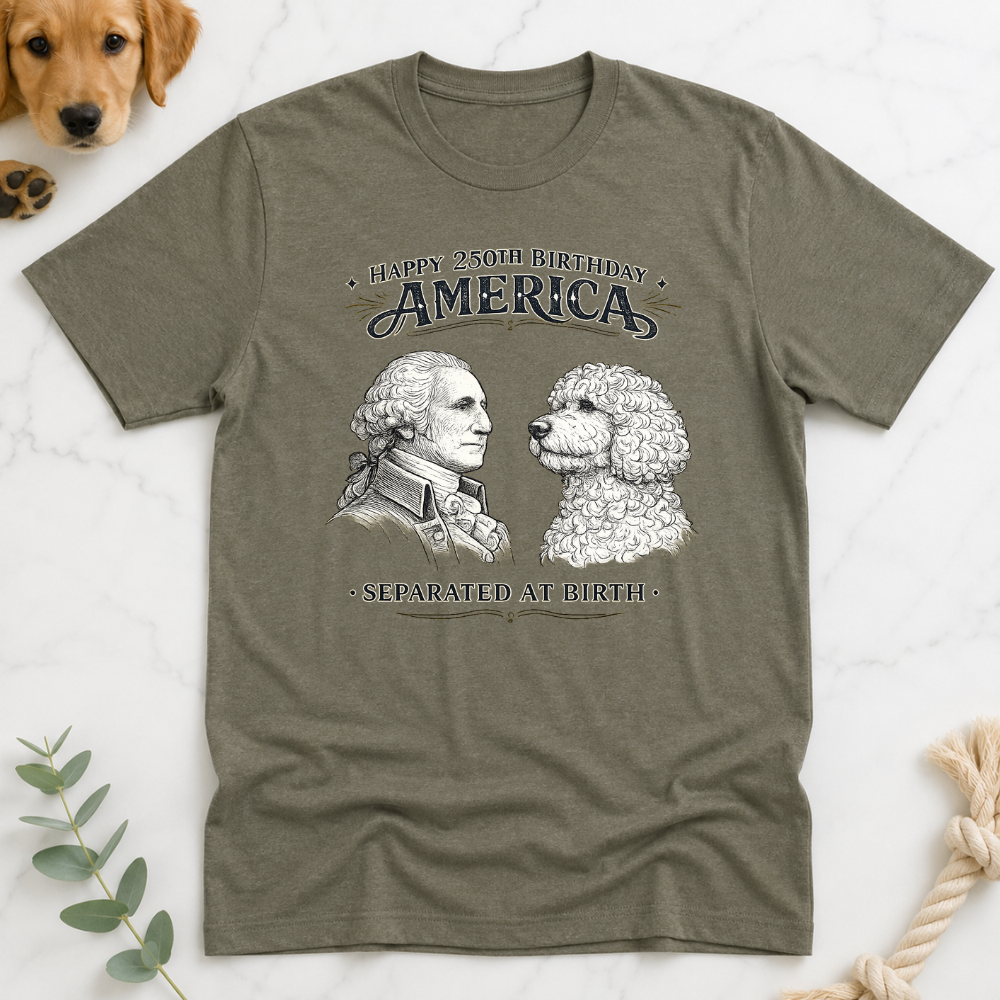 America 250 Separated at Birth T-Shirt