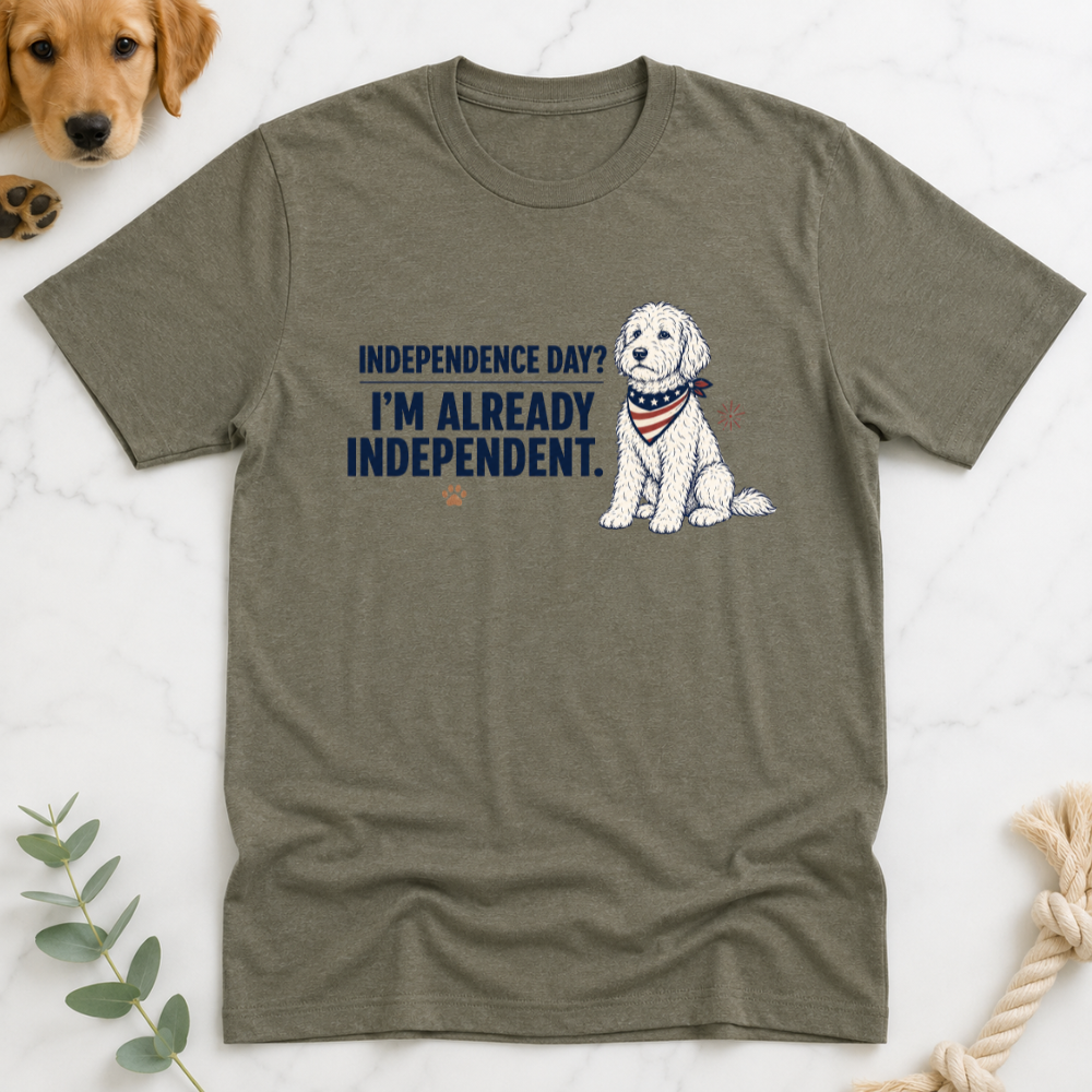 Indepence Day I'm Already Independent T-Shirt