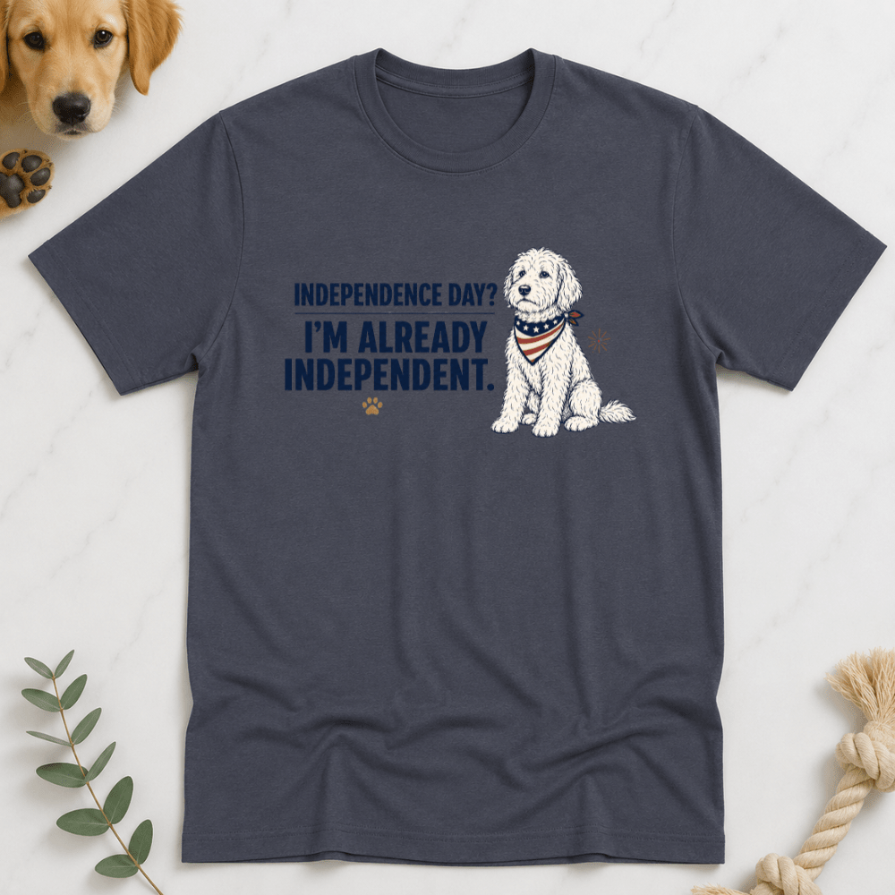 Indepence Day I'm Already Independent T-Shirt - Doodle Brothers Co