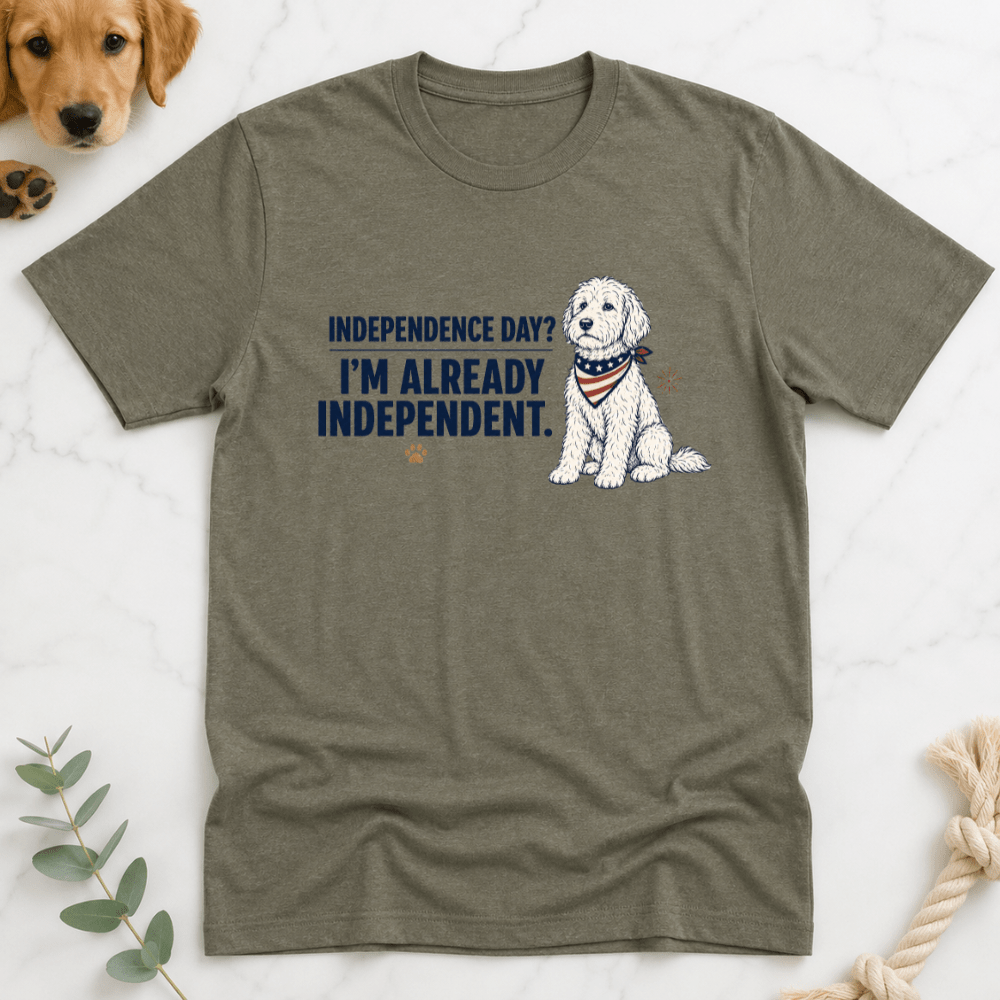 Indepence Day I'm Already Independent T-Shirt - Doodle Brothers Co