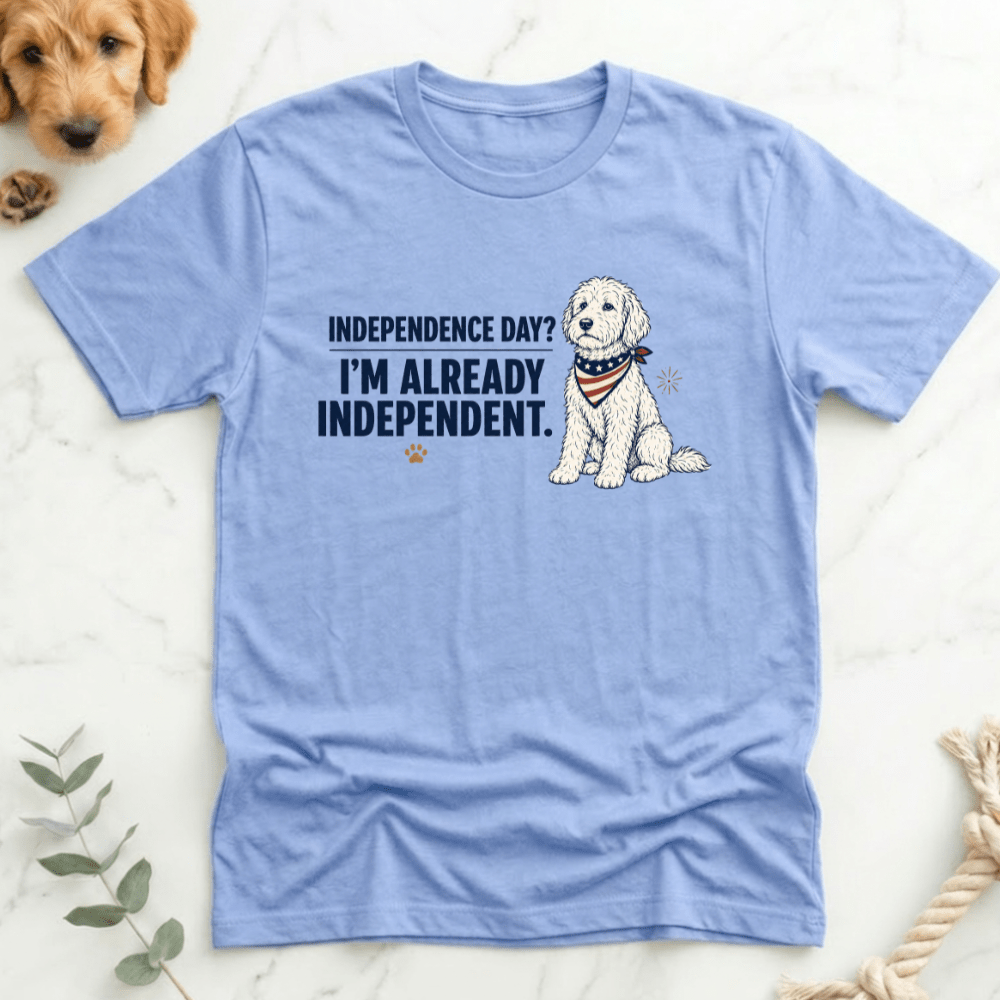 Indepence Day I'm Already Independent T-Shirt - Doodle Brothers Co