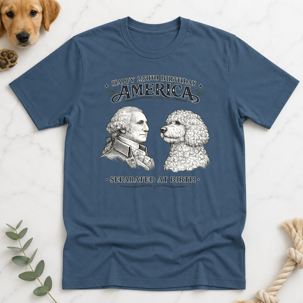 America 250 Separated at Birth T-Shirt