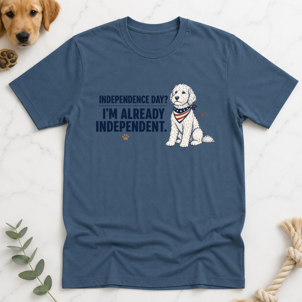 Indepence Day I'm Already Independent T-Shirt
