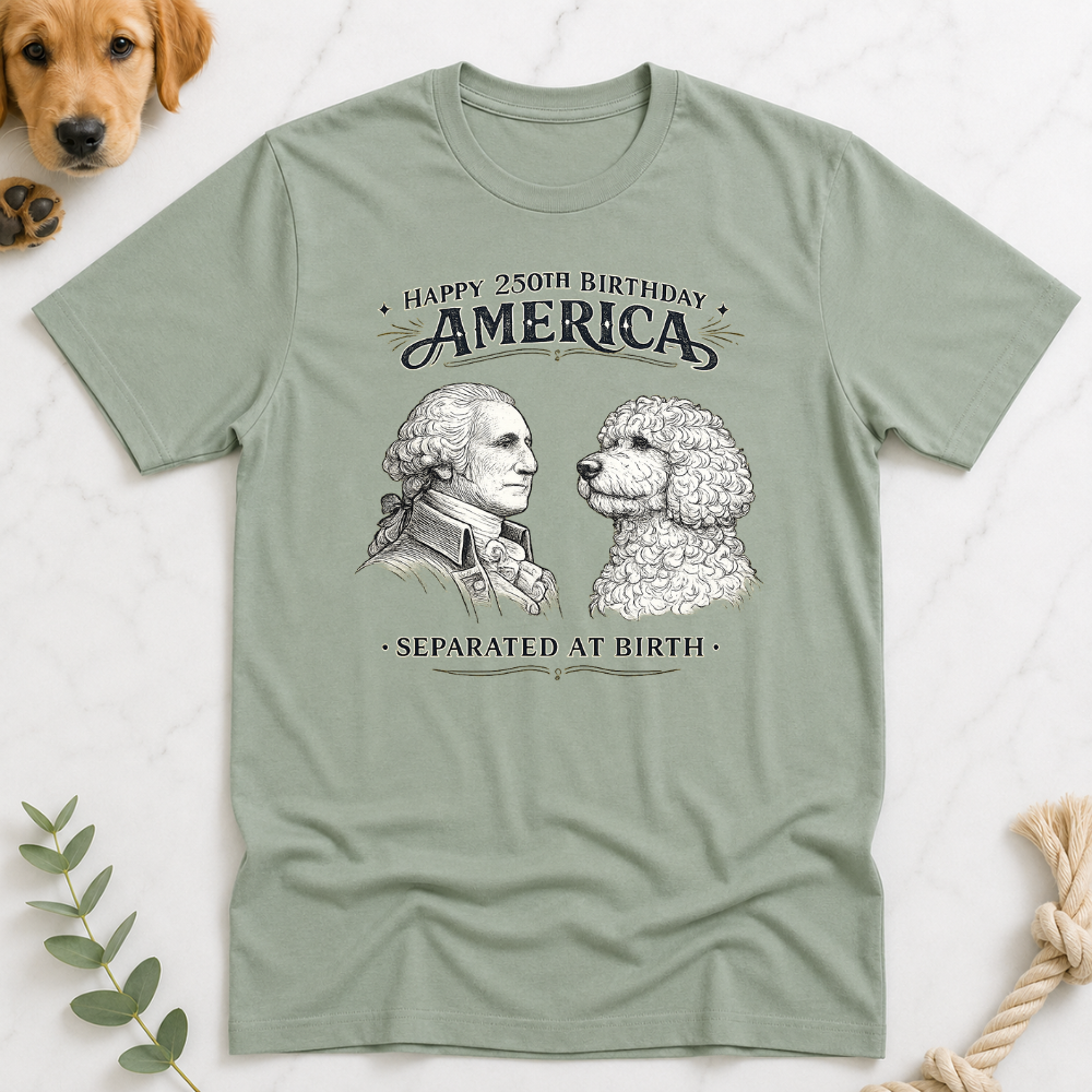 America 250 Separated at Birth T-Shirt