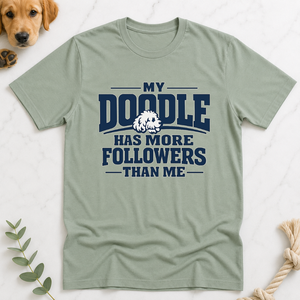 My Doodle has More Followers