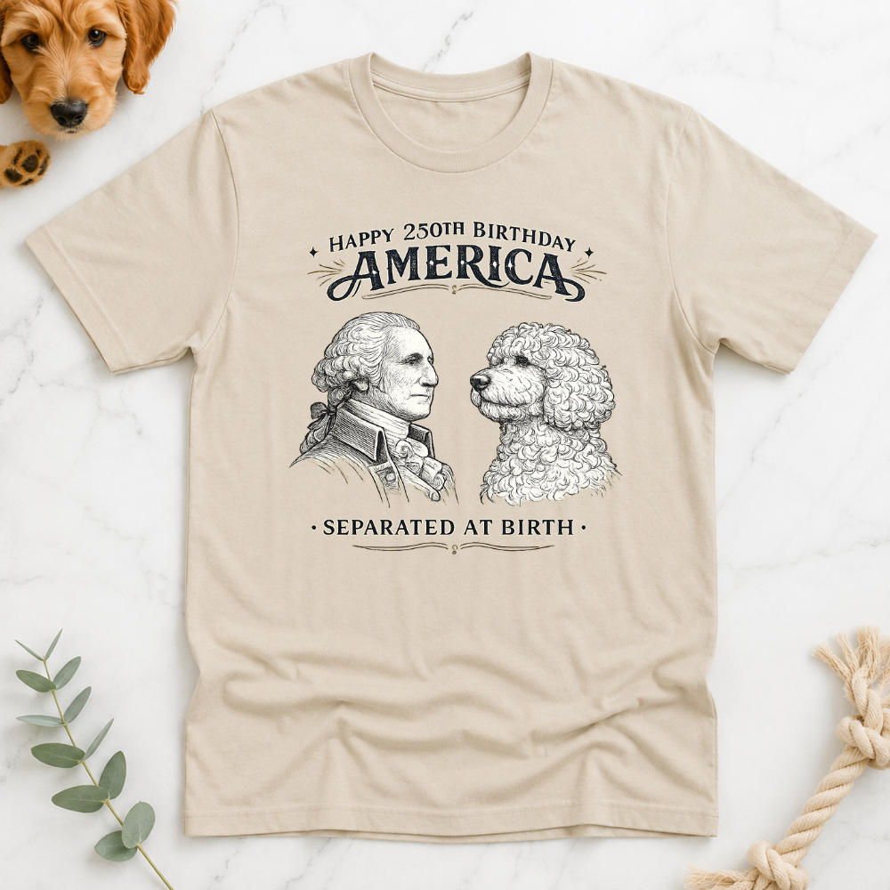 America 250 Separated at Birth T-Shirt