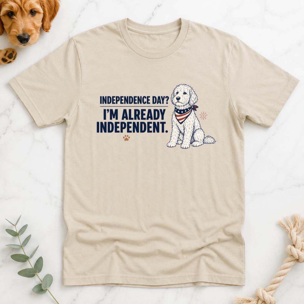 Indepence Day I'm Already Independent T-Shirt