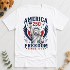Doodle Statue America 250 T-Shirt