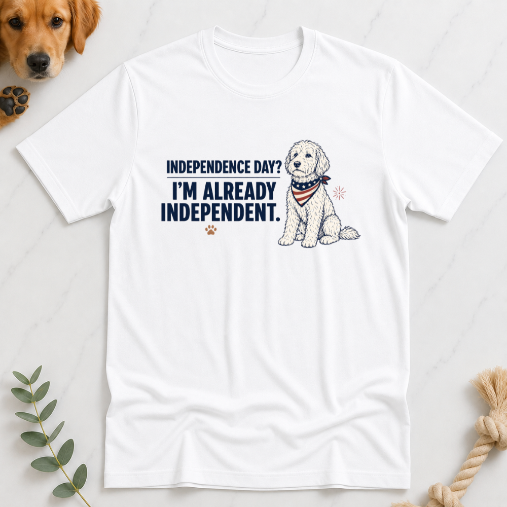 Indepence Day I'm Already Independent T-Shirt